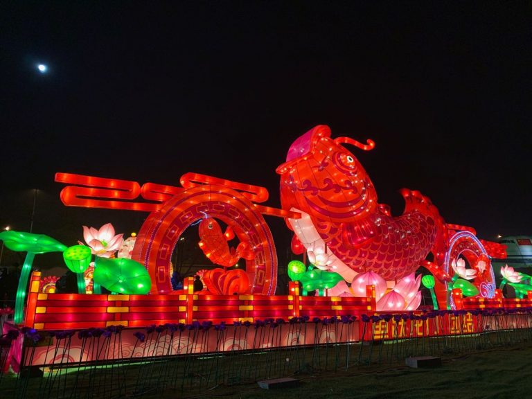 玉壺光轉(zhuǎn)，一夜魚龍舞